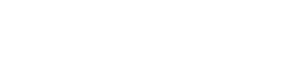 wordpress-logo-white
